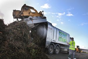 Green Waste for composting