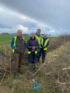 Hedge Laying